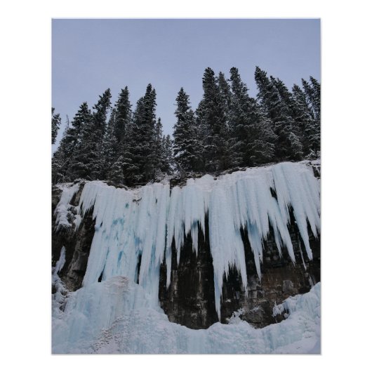 Affiche du canyon Johnston (Devant)