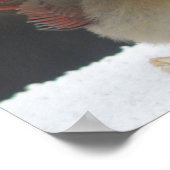 Affiche du cardinal féminin (Coin)