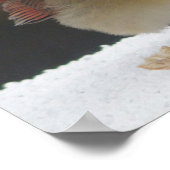 Affiche du cardinal féminin (Coin)