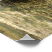 Affiche du cardinal féminin sur la clôture (Coin)