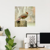 Affiche du cardinal féminin sur la clôture (Bureau à domicile)