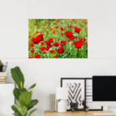 affiche du champ de pavot (Bureau à domicile)