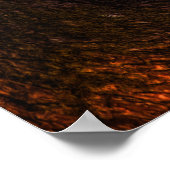 affiche du chaton léopard (Coin)