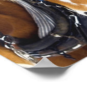 Affiche du Cheval de Clydesdale (Coin)