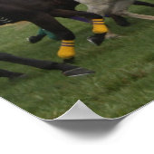 Affiche du cheval de course Imprimer (Coin)