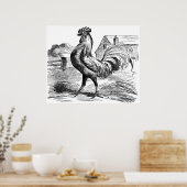 Affiche du coq vintage du pays (Cuisine)