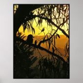 Affiche du coucher de soleil du solstice australie (Devant)