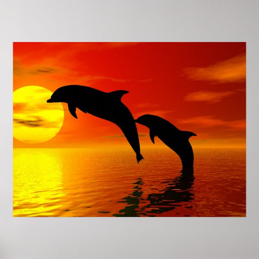 Affiche du coucher du soleil pour les dauphins (Devant)