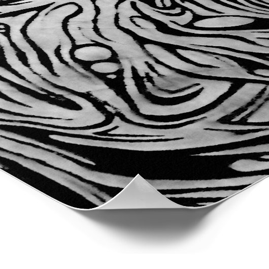 affiche du crâne organique (Coin)