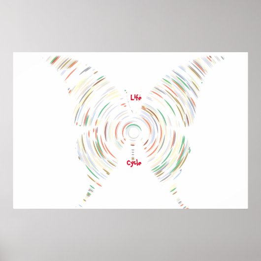 Affiche du cycle de vie (Devant)