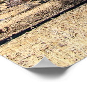 Affiche du désert de Sonoran 03 (Coin)