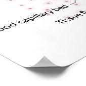 affiche du diagramme portant l'étiquette de l'écha (Coin)