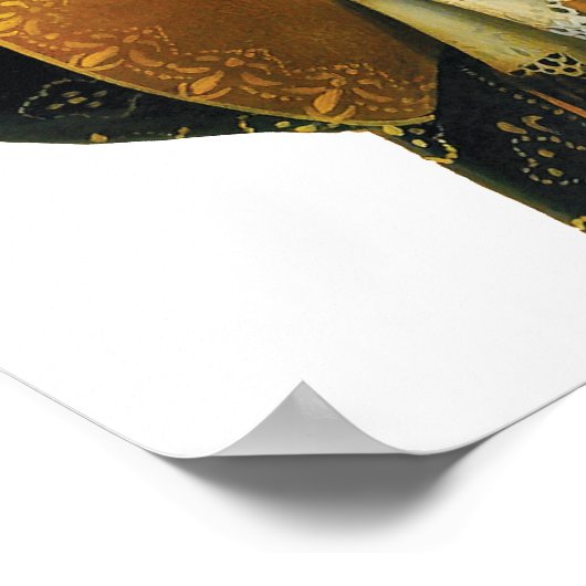 Affiche du DR220 Whippet (Coin)