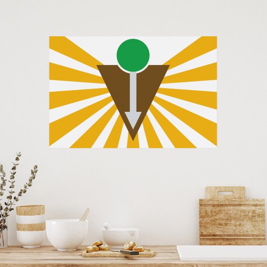 Affiche du drapeau chiropratique (Cuisine)