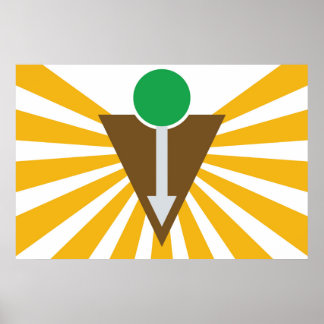 Affiche du drapeau chiropratique