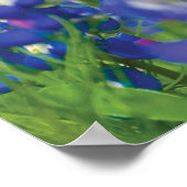 Affiche du drapeau du Texas (Coin)