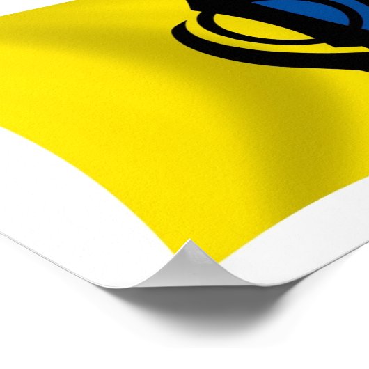 Affiche du drapeau sikhisme (Coin)