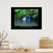 Affiche du flux forestier MOtivationnel PACIFIQUE (Cuisine)