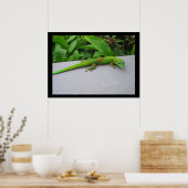Affiche du Gecko diurne à poussière d'or (Cuisine)