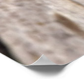 affiche du guide touristique (Coin)