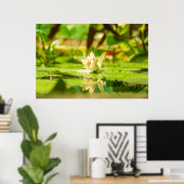Affiche du jardin d'eau Lotus Blanc (Bureau à domicile)