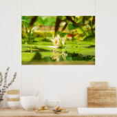 Affiche du jardin d'eau Lotus Blanc (Cuisine)
