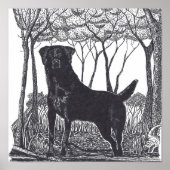 affiche du laboratoire noir (Devant)