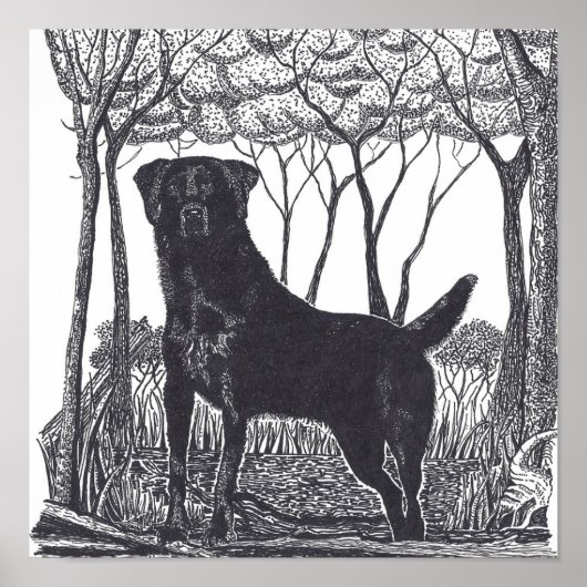 affiche du laboratoire noir (Devant)