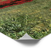 Affiche du lac Beeac Solo Tree (Coin)