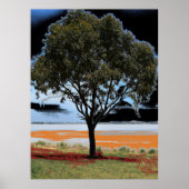Affiche du lac Beeac Solo Tree (Devant)