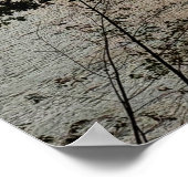 Affiche du lac Blue Sky (Coin)