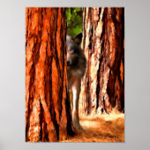 Affiche du loup (Devant)