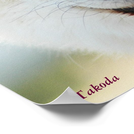 Affiche du loup arctique (Coin)