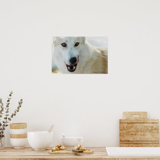 Affiche du loup arctique (Cuisine)