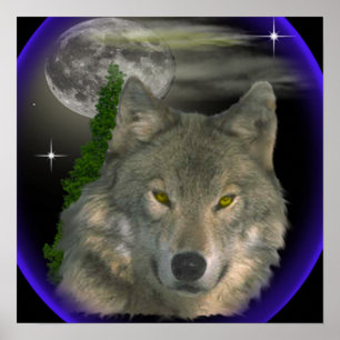 affiche du loup de nuit