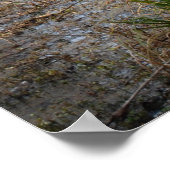 Affiche du marais de Louisiane (Coin)