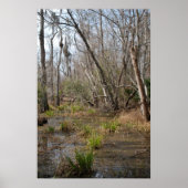 Affiche du marais de Louisiane (Devant)