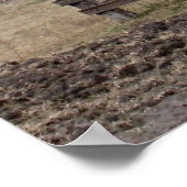 affiche du moulin (Coin)