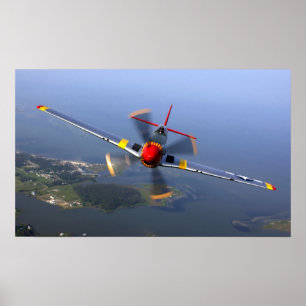 Affiche du mustang P-51