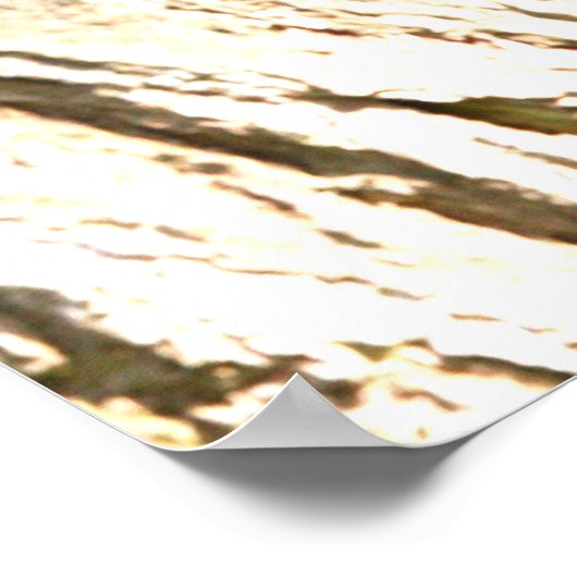 affiche du panda rouge (Coin)