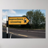 affiche du panneau leprechaun (Devant)