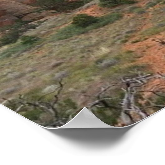 Affiche du parc national Arches (Coin)