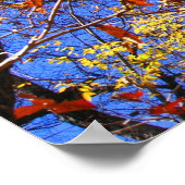 Affiche du parc national West Mt. Autumn Hot Sprin (Coin)