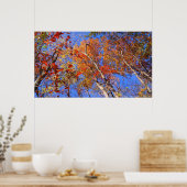 Affiche du parc national West Mt. Autumn Hot Sprin (Cuisine)