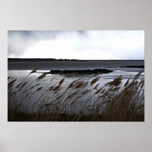 Affiche du paysage aquatique Refuge (Devant)