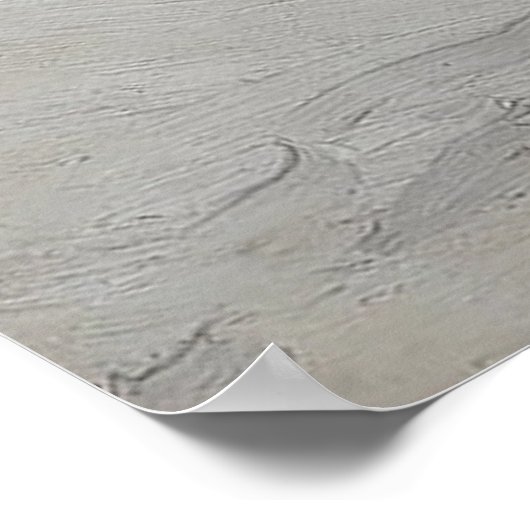 Affiche du paysage de la forêt d'hiver (Coin)