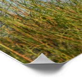 Affiche du phare de Tybee Island (Coin)