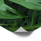 Affiche du Plante de l'oreille tropicale éléphante (Coin)