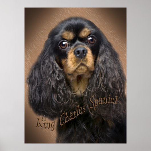 Affiche du portrait Cavalier King Charles (Devant)
