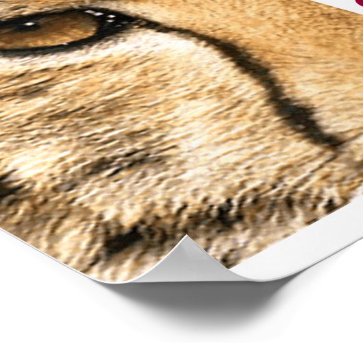 Affiche du projet CAMELOT (Coin)